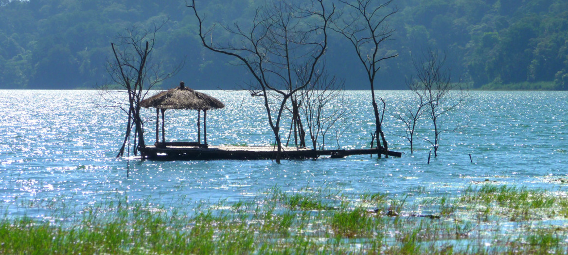 Preserve the Threatened Ecology and Culture of Tamblingan